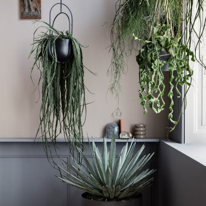 238827-4.jpg (3548376) 