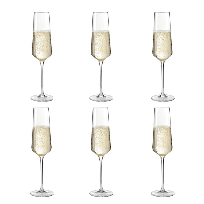 Leonardo Puccini Champagneglazen 0,28 L - 6 st.