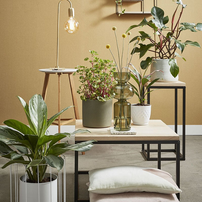 245872-x1.jpg (3669556) 