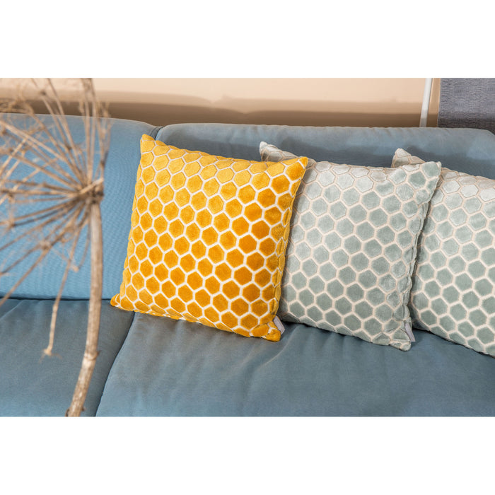 144911-x5.jpg (3776668) 