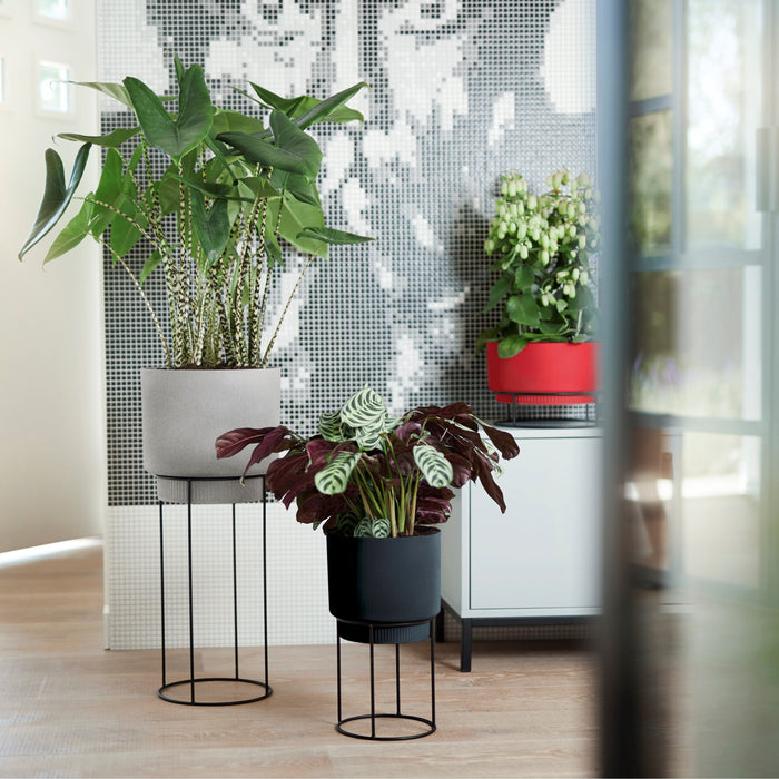 285618-x01.jpg (4108823) 