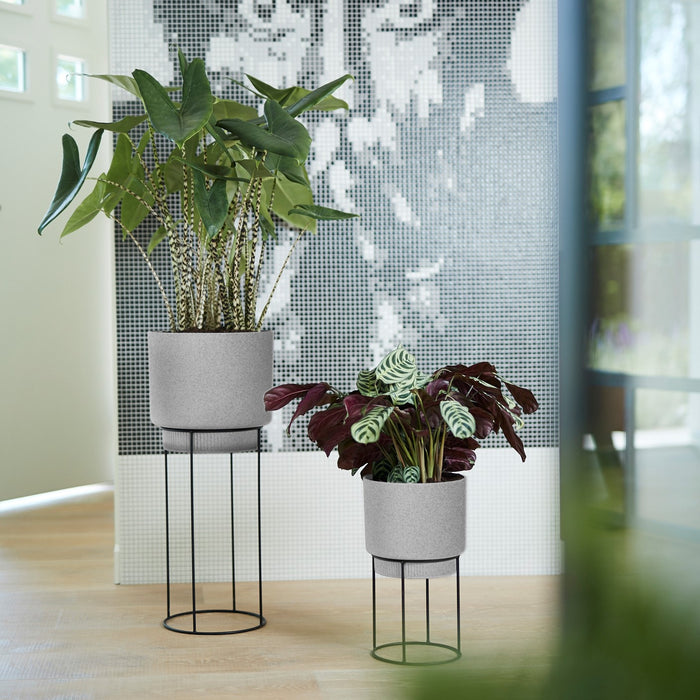 285618-x05.jpg (4108826) 