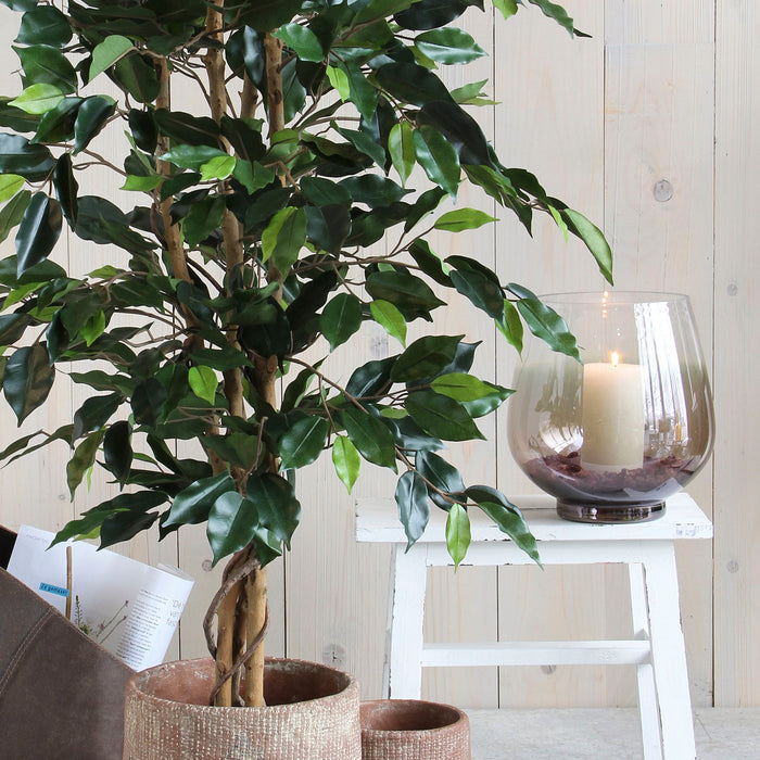 Mica Decorations Ficus Kunstplant - H150 x Ø85 cm - Groen