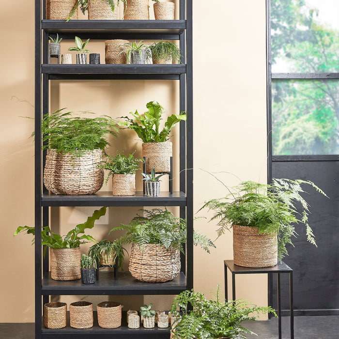 4c6f5d8f-d68a-436e-92d7-207d49a81397-afbeelding9.jpg (4489732) 