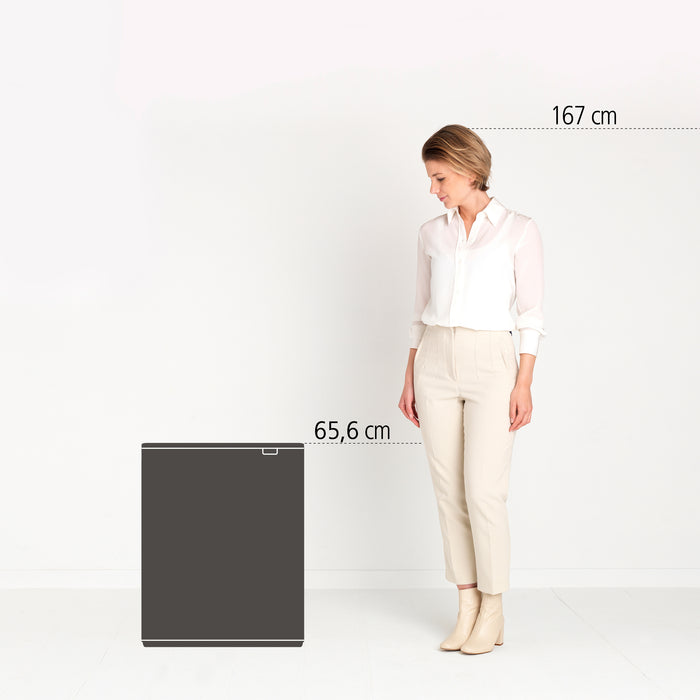 Brabantia Bo Touch Bin 2 x 30 L - Vingerafdrukvrij - Zilver