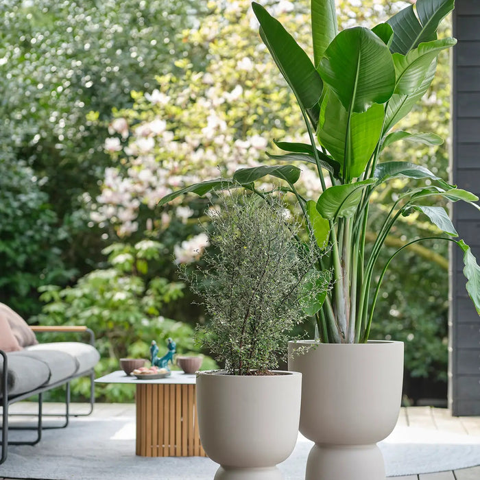 elho Pure Coupe Bloempot Ø 41 cm - Balanced Beige