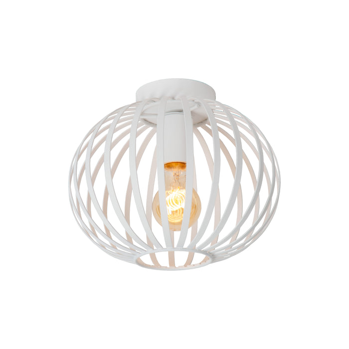 eda9ba37-c574-4b6a-9c1f-1958cce6bde6-afbeelding3.jpg (5946887) 