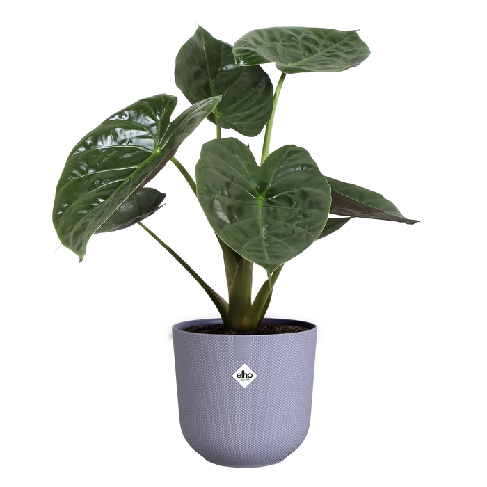 321614-x03-202310181322-C.png (7505991) 