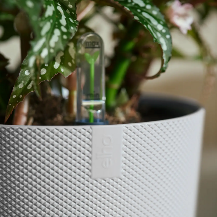 321618-x05-202310181322-A.png (7506033) 