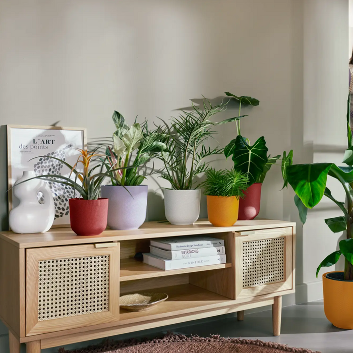 321619-x01-202310181322-A.png (7506037) 