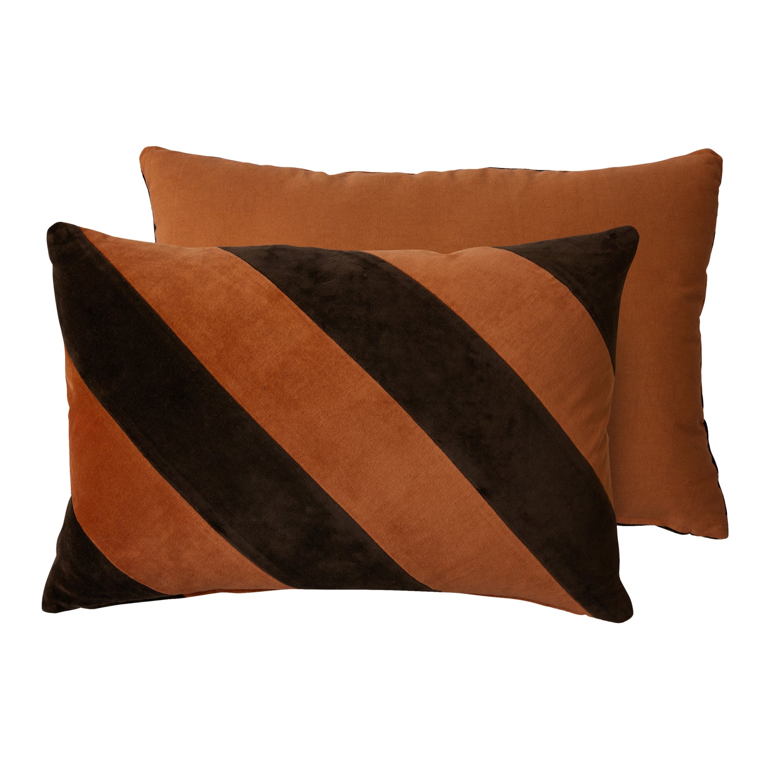 322456-x00-202402180021-C.jpg (7959626) 