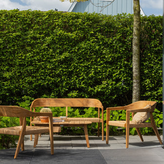 WOOOD Chena Fauteuil - Wicker/Teak