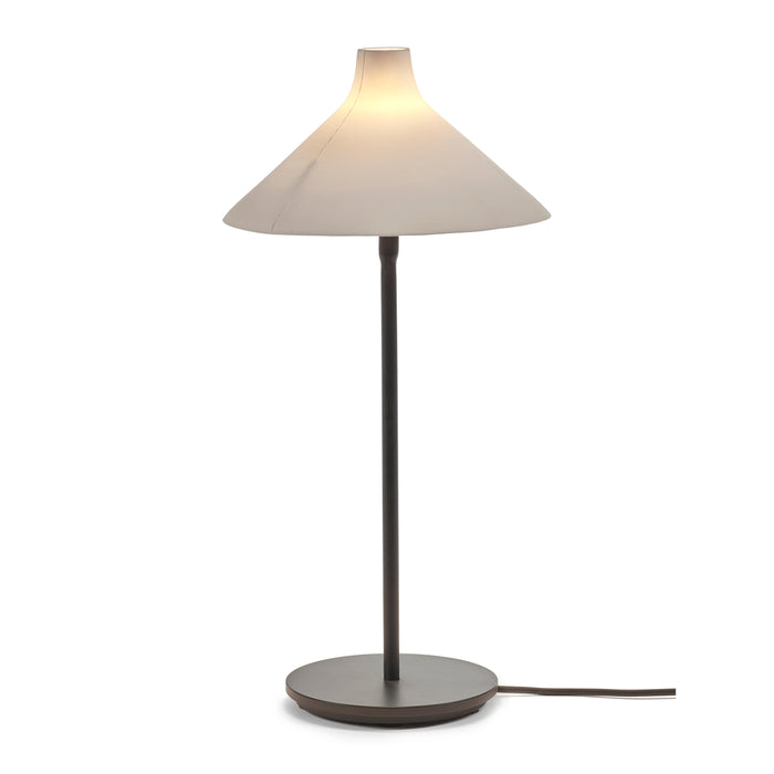 323746-x02-202406201321-C.jpg (8343892) 