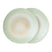 HKliving 70's Ceramics Dinerbord Ø 27,5 cm - Set van 2 - Palms
