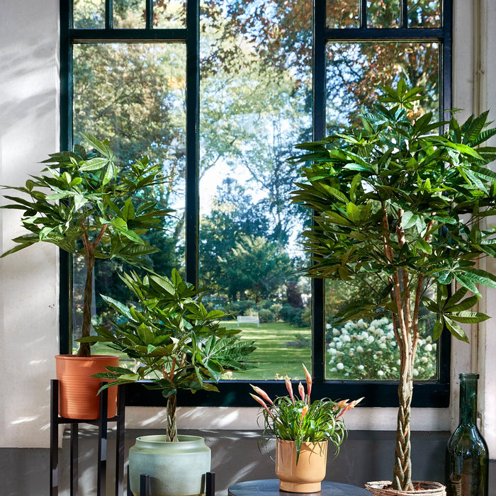 fe585061-b122-4532-8110-48fb5900fa64-afbeelding8.jpg (9190636) 