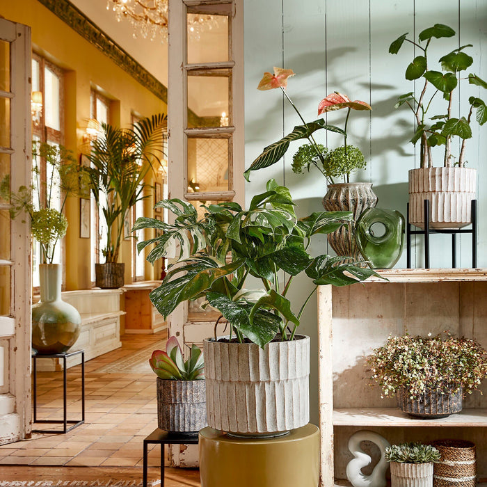 fe585061-b122-4532-8110-48fb5900fa64-afbeelding9.jpg (9190638) 