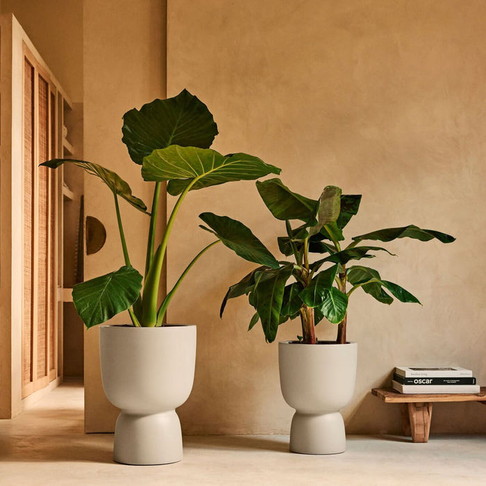 327623-x01-202412190541-A.jpg (9713814) 