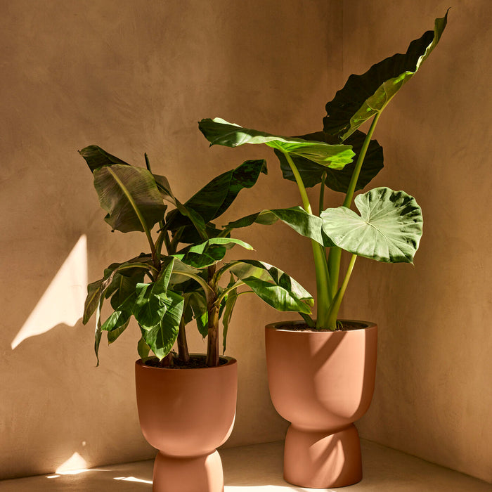 327624-x01-202412190542-A.jpg (9713817) 