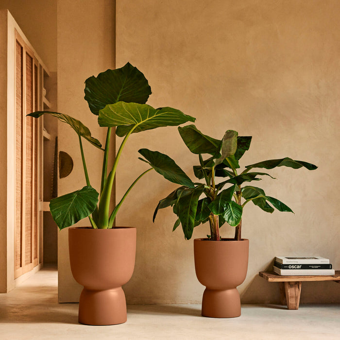 327624-x04-202412190541-A.jpg (9713820) 