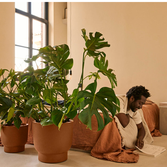 327639-x01-202412190540-A.jpg (9713870) 