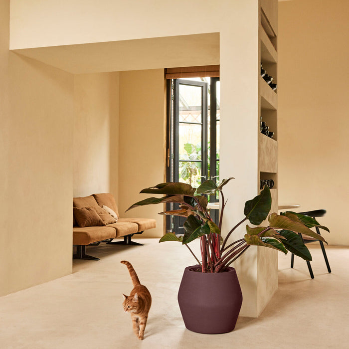 327641-x01-202412190541-A.jpg (9713878) 