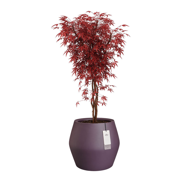 327641-x03-202412190542-C.jpg (9713881) 