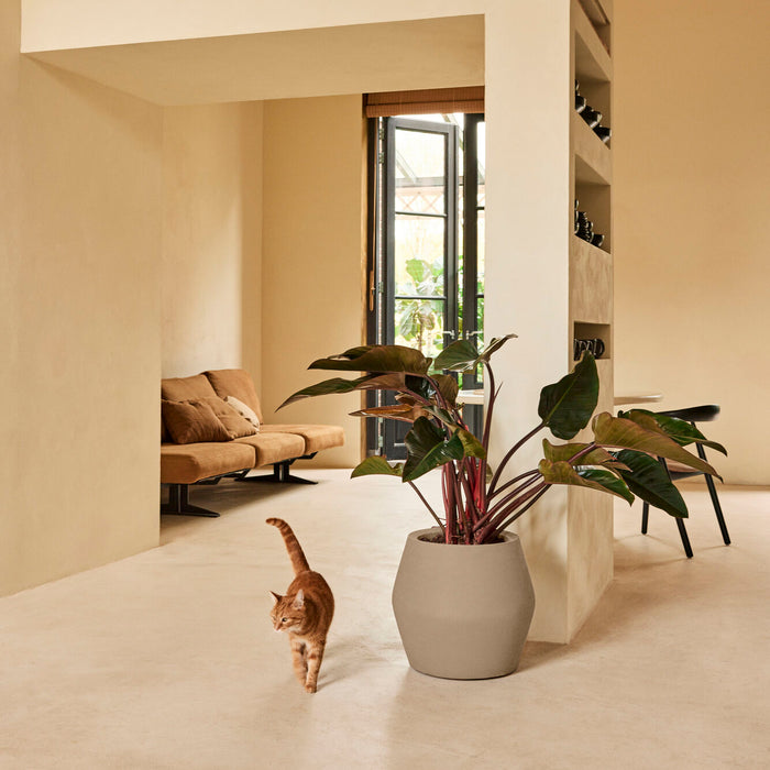 327642-x01-202412190541-A.jpg (9713883) 