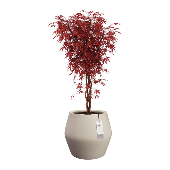 327642-x03-202412190540-C.jpg (9713885) 