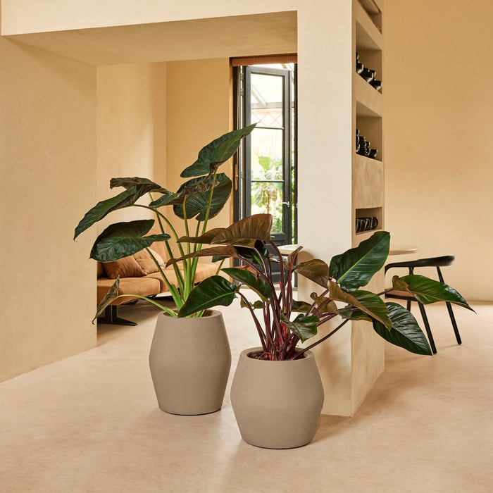 327642-x05-202412190542-A.jpg (9713888) 