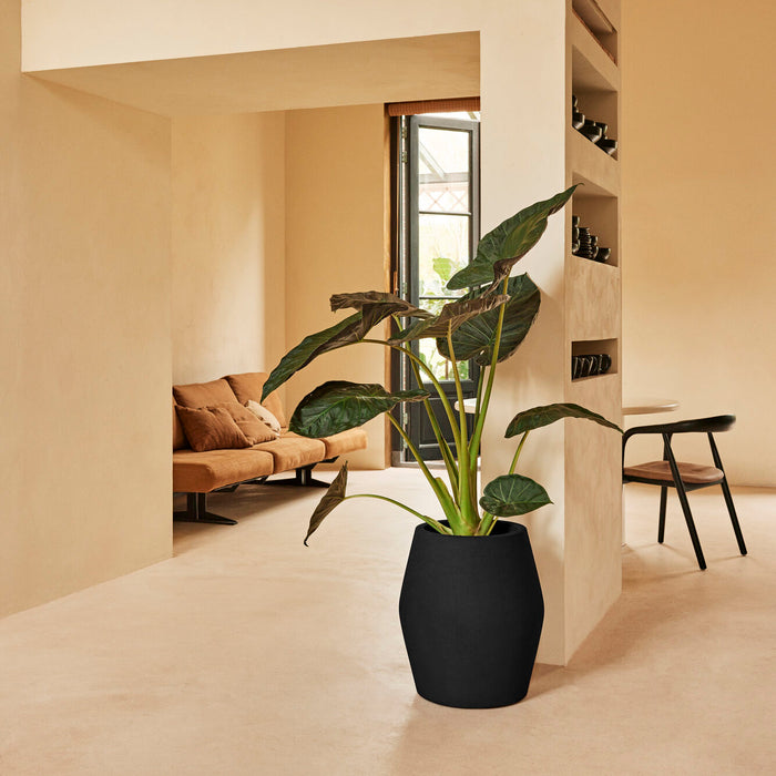 327643-x01-202412190541-A.jpg (9713889) 