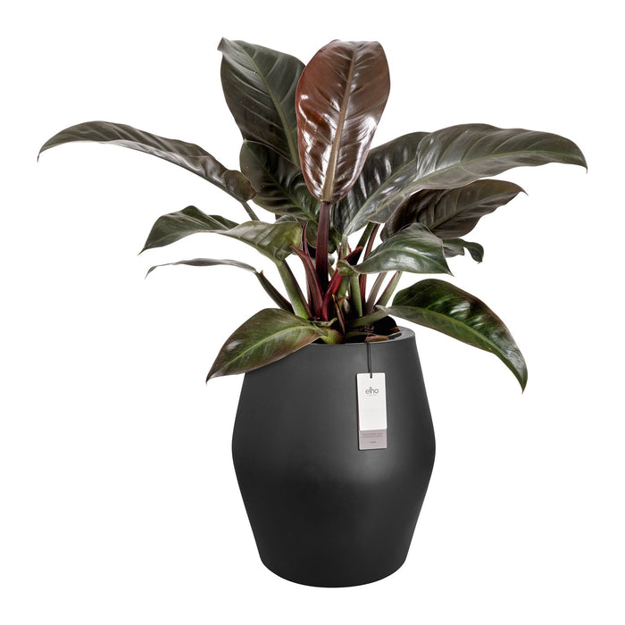 327643-x02-202412190541-C.jpg (9713890) 