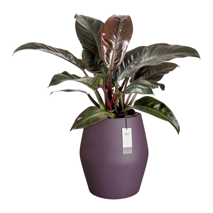 327644-x02-202412190541-C.jpg (9713895) 