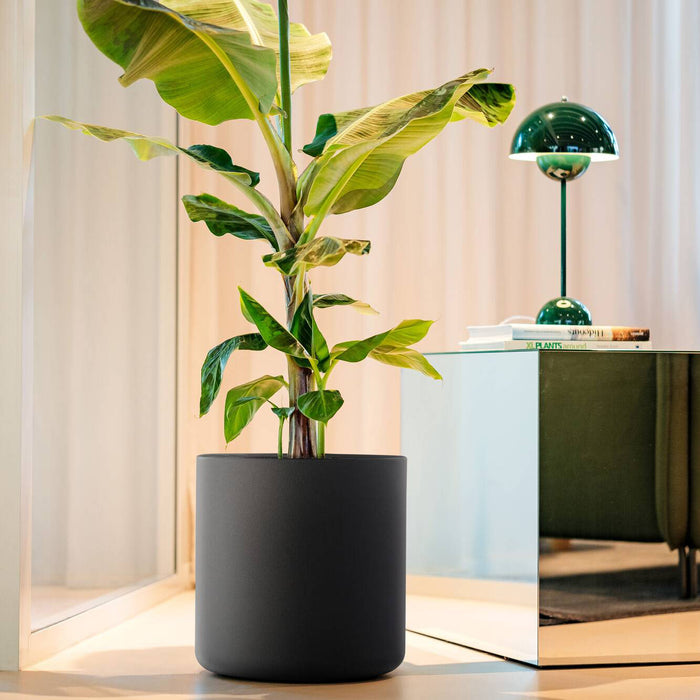 Elho Pure Cilinder Wheels 40 - Zwart - L 40 x B  x H 40 cm - Balkon, Binnen en Buiten - 100% gerecycled