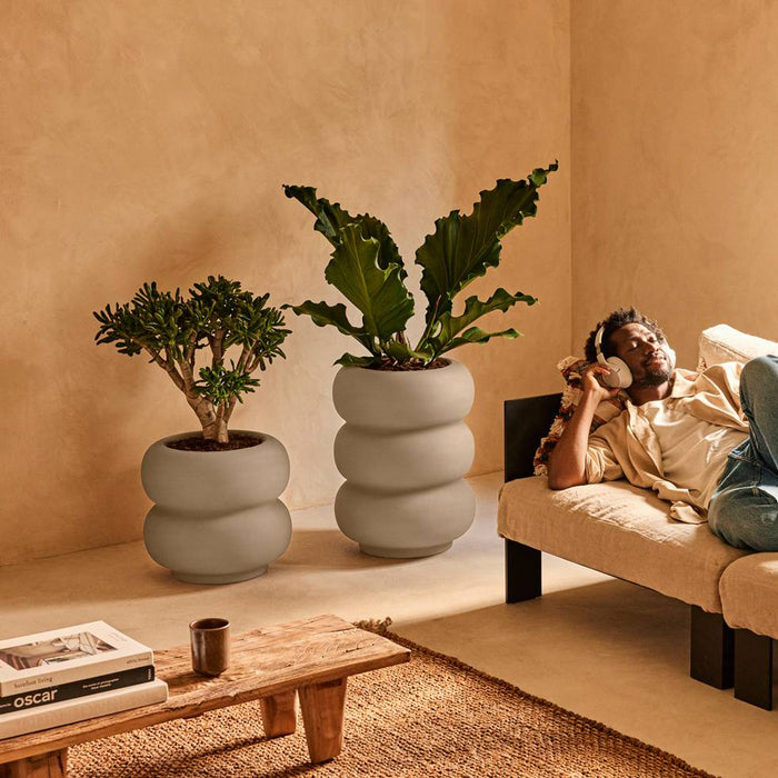 327617-x03-202501032021-A.jpg (9770318) 