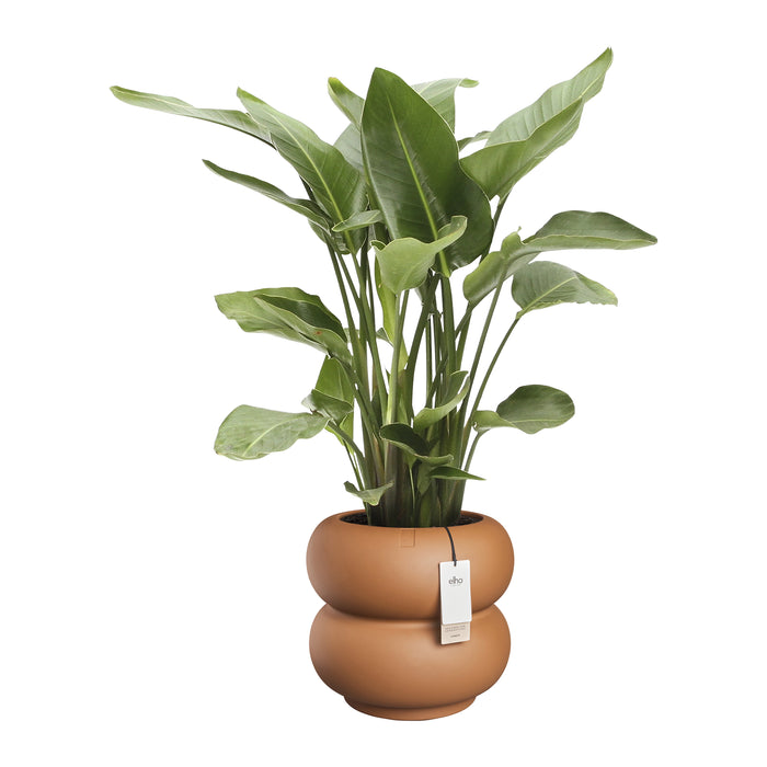 327618-x02-202501090122-C.jpg (9809049) 