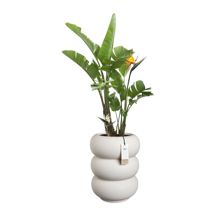 327619-x03-202501090122-C.jpg (9809059) 