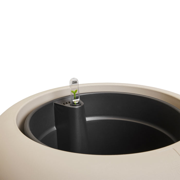 327620-x06-202501090122-C.jpg (9809070) 