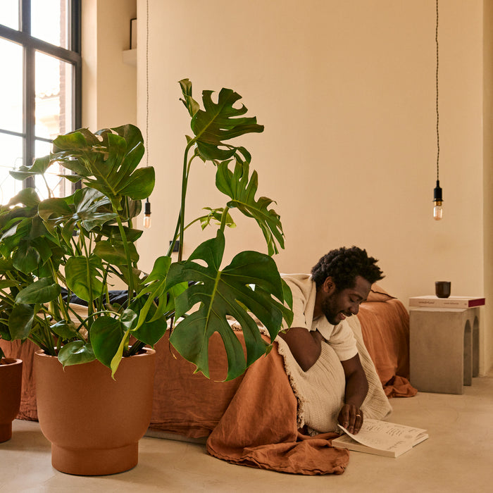 327636-x01-202501090121-A.jpg (9809094) 