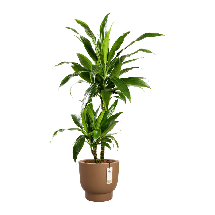 327636-x02-202501090122-C.jpg (9809095) 