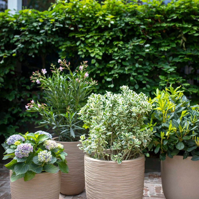 Capi Europe - Pot bol Waste Smooth NL - 43x41 - Terrazzo beige